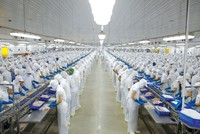 Vĩnh Hoàn (VHC) bất ngờ trì hoãn nộp Báo cáo tài chính quý III/2023 tới chậm nhất ngày 15/11