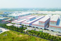 Hành trình 25 năm Tôn Đông Á “cùng xây cuộc sống xanh”