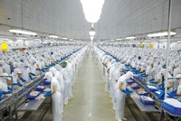 Vĩnh Hoàn (VHC): Lợi nhuận 9 tháng đầu năm 2023 giảm 52,2% và tiếp tục “gồng” lỗ cổ phiếu DXS, NLG, KBC …