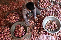 Ấn Độ tiếp tục thắt chặt kiểm soát hàng nông sản 