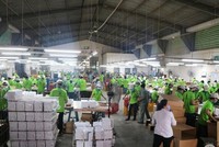 Gỗ Đức Thành (GDT) tạm ứng cổ tức năm 2023 với tỷ lệ 10%