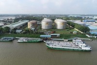 Nam Sông Hậu (PSH) tiếp tục gia hạn thời gian trả lãi lô trái phiếu mệnh giá 400 tỷ đồng