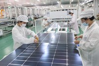 IEA: Các quốc gia đang đẩy mạnh triển khai năng lượng tái tạo