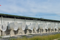 Vừa niêm yết được hơn 1,5 tháng, Siba Group (SBG) muốn huy động vốn từ cổ đông để trả công nợ đến hạn