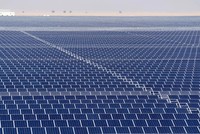 IEA: Năng lượng mặt trời đối mặt với tình trạng dư cung