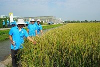 Quý IV/2023, lợi nhuận Tập đoàn Lộc Trời (LTG) tăng 19%, lên 247,77 tỷ đồng