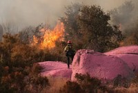 Lần đầu tiên nhiệt độ toàn cầu vượt qua ngưỡng quan trọng trong năm 2023