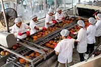 Lỗ 3 năm liên tiếp, cổ phiếu Chiếu xạ An Phú (APC) chính thức bị huỷ niêm yết bắt buộc trên sàn HOSE