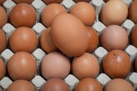 Sự bùng phát trở lại của cúm gia cầm khiến giá trứng ở một số quốc gia tăng cao