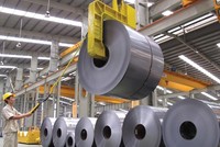 Dragon Capital mua vào 1 triệu cổ phiếu Hoa Sen (HSG)