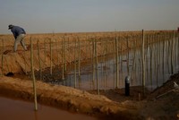 Mục tiêu an ninh lương thực của Trung Quốc gặp thách thức