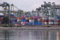 Cảng Singapore tắc nghẽn nghiêm trọng mở ra cơ hội cho các cảng Việt Nam 