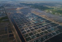 Tập đoàn PAN (PAN) lãi 201 tỷ đồng trong quý II/2024