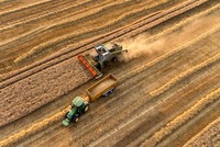 Điểm danh hàng hóa tăng và giảm mạnh nhất từ đầu năm tới nay 