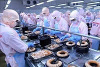 Thủy sản Minh Phú (MPC) sắp phát hành hơn 1 triệu cổ phiếu ESOP giá 10.000 đồng/cổ phiếu