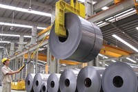 Liên tục bán ra hơn 11,17 triệu cổ phiếu, Dragon Capital không còn là cổ đông lớn tại Hoa Sen (HSG)