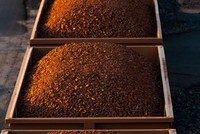 Quặng sắt giảm xuống dưới 90 USD/tấn khiến các mỏ gặp rủi ro