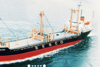 Vận tải biển Hải Âu (SSG) lên kế hoạch bán tàu Sea Dream sau 18 năm khai thác