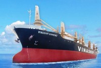 Viconship (VSC) sắp bỏ ra khoảng 317,9 tỷ đồng để mua 37,55% vốn tại Vinaship (VNA)