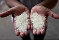 Ấn Độ chính thức cho phép xuất khẩu gạo trắng non-basmati 