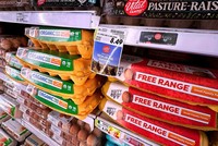 Giá trứng toàn cầu tăng vọt khi cúm gia cầm ảnh hưởng đến nguồn cung