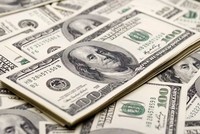 Đồng đô la đang hướng tới mức tăng mạnh nhất kể từ năm 2015