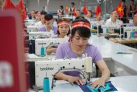 Đầu tư và Thương mại TNG (TNG) vượt kế hoạch lợi nhuận năm 2024