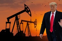 Tổng thống Trump kêu gọi OPEC hạ giá dầu, có thể gây tổn hại đến ngành năng lượng của Mỹ