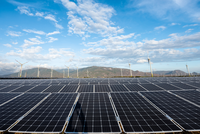 Điện mặt trời Trung Nam lên kế hoạch mua lại trái phiếu trước hạn nhỏ giọt