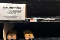 Giá trứng bán buôn tại Mỹ ghi nhận mức cao kỷ lục