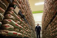 Giá gạo Nhật Bản tăng vọt 