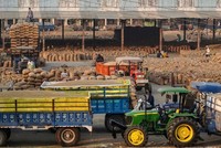 Tình trạng dư cung làm giảm biên lợi nhuận trong ngành gạo ở Ấn Độ