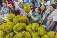 Trung Quốc siết chặt quy định nhập khẩu sầu riêng