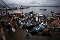 Ngành thủy sản Brazil lao đao sau khi bị Mỹ áp thuế 50%