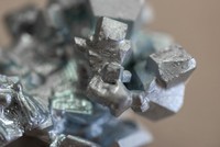 Giá germani tăng lên mức cao nhất trong 14 năm