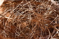 Thị trường đồng bấp bênh trong bối cảnh bùng nổ AI