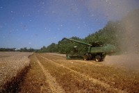 Xuất khẩu của Mỹ sang các thị trường mới nổi tăng mạnh trong năm 2025