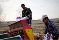 Xung đột Trung Đông ảnh hưởng trực tiếp đến nguồn nguyên liệu phân bón 