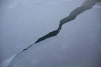 Nhiệt độ đại dương tăng vọt, hiện tượng El Nino sắp trở lại