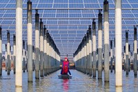 Trung Quốc kêu gọi nỗ lực phối hợp để xử lý công suất dư thừa trong ngành năng lượng mặt trời