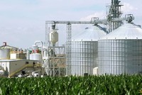 Nhiên liệu sinh học lên ngôi giữa cú sốc năng lượng toàn cầu