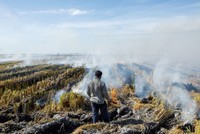 Trung Quốc có thể đối mặt nhiều tác động từ hiện tượng El Nino