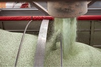 Giá phân bón lao dốc bất chấp nguy cơ gián đoạn nguồn cung từ Trung Đông
