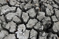 Hiện tượng El Nino có thể gây cú sốc mới cho thị trường hàng hóa