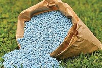Thị trường phân bón toàn cầu tránh được cú sốc nguồn cung