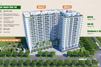 Dự án Ricca được Rio Land quảng cáo rầm rộ và bán khi chưa đủ pháp lý.