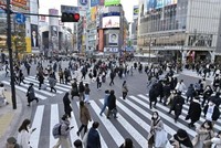 Nhật Bản tiếp tục đánh giá tích cực nền kinh tế thông qua các báo cáo tài chính 