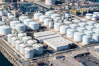 Dầu quay đầu giảm sau 2 phiên tăng liên tiếp