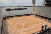 Vận chuyển ngũ cốc đến châu Phi tăng mạnh