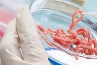 Mỹ cho phép bán thịt nhân tạo